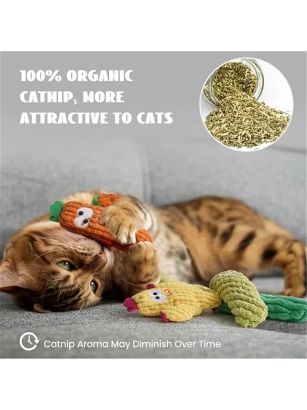 Cactus Catnip Toys, 100% Pure Organic Catnip-Filled Toys Without Cotton